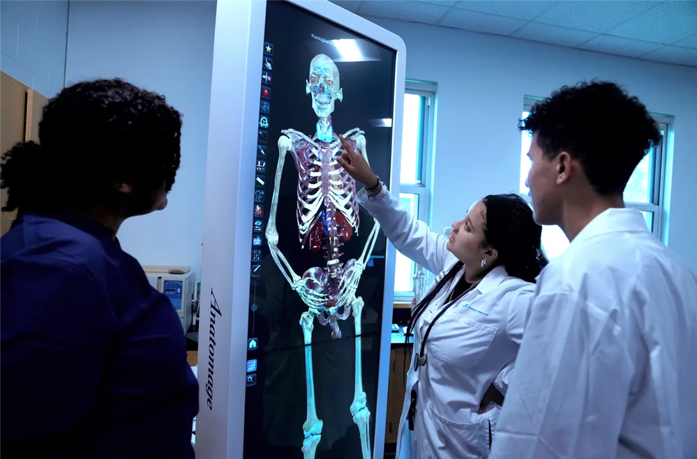 From left, Jaya Richard, Aidale Gomes and Angel Nunez name bones in the neck of human body.